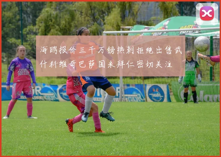 海鸥报价三千万镑热刺拒绝出售武什科维奇巴萨国米拜仁密切关注